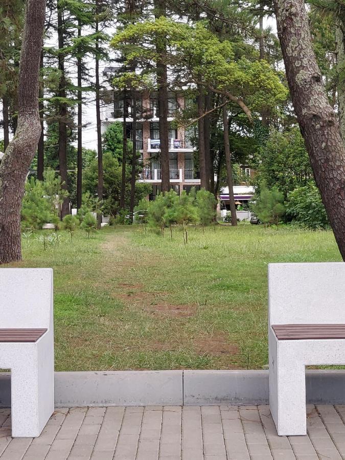 French Hotel Kobuleti Ngoại thất bức ảnh